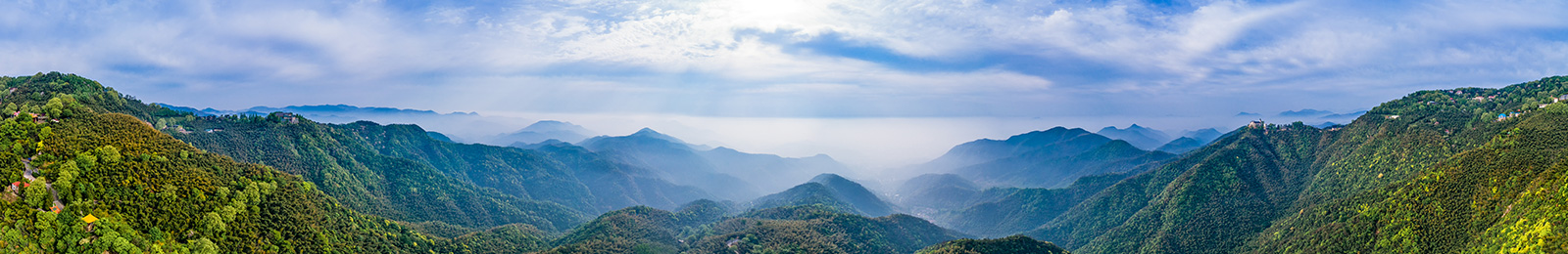 池州市(shì)景明林木(mù)銷售有限責任公司